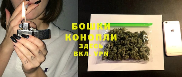 соль ск Богданович