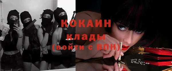 соль ск Богданович