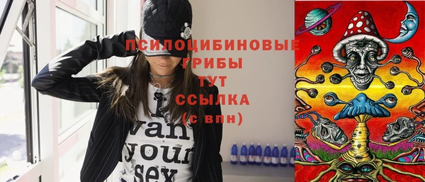 соль ск Богданович