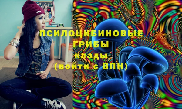 героин Богородицк