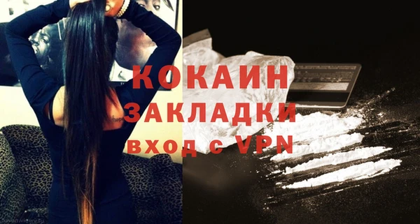 соль ск Богданович