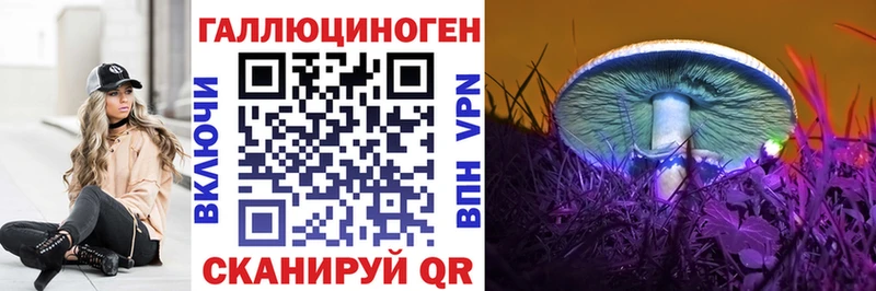 Псилоцибиновые грибы GOLDEN TEACHER Нижневартовск